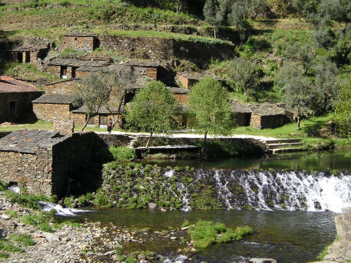 A Charming , Traditional Cottage At Quinta Da Ribeira Vila Nova de Poiares Exterior photo
