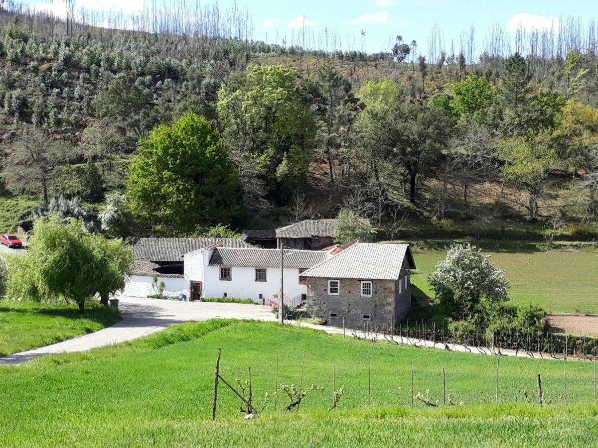 A Charming , Traditional Cottage At Quinta Da Ribeira Vila Nova de Poiares Exterior photo